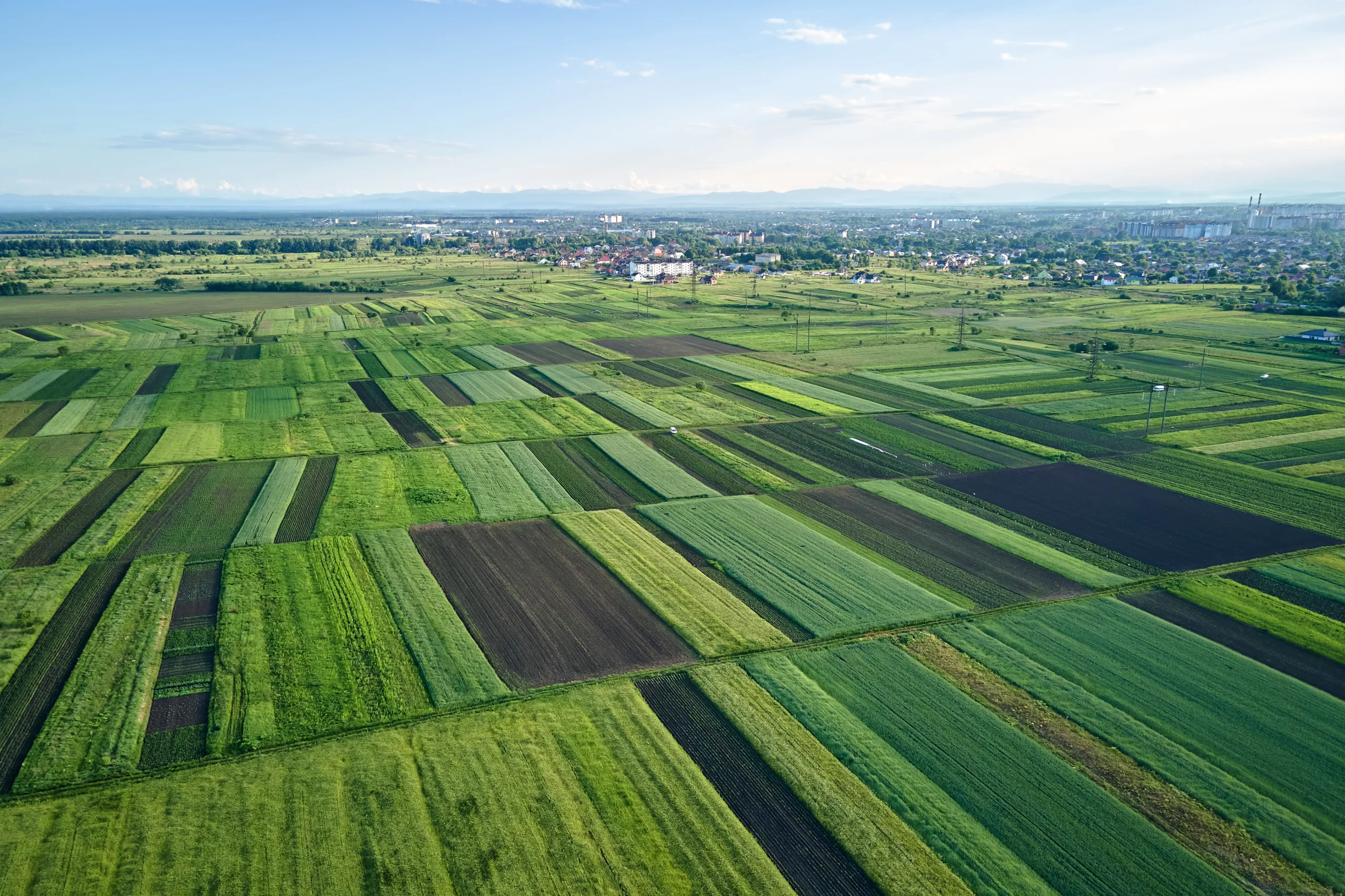 Agricultural development